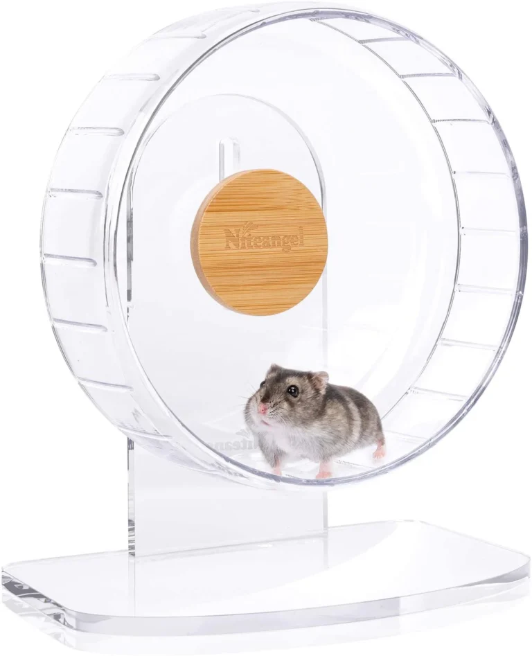 Niteangel Super-Silent Hamster Exercise Wheels 4 612xskdM0oL. AC SL1500 1800x1800 Home & Kitchen Gadgets You'll Love